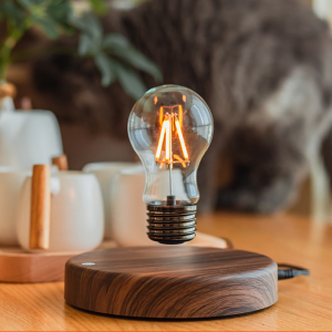 Magnetic Levitation LED Lamp, Floating Glass Bulb, Home Office Desk Decor, Unique Gift Idea