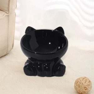 PurrLift Elevated Ceramic Cat Bowl for Food & Water