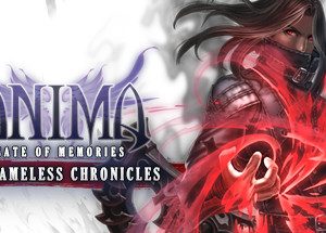 Anima: Gate of Memories - The Nameless Chronicles Steam Key
