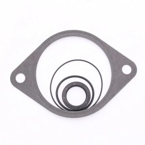 Cummins Vacuum Pump Seal Kit for Dodge Ram Power Steering Repair
