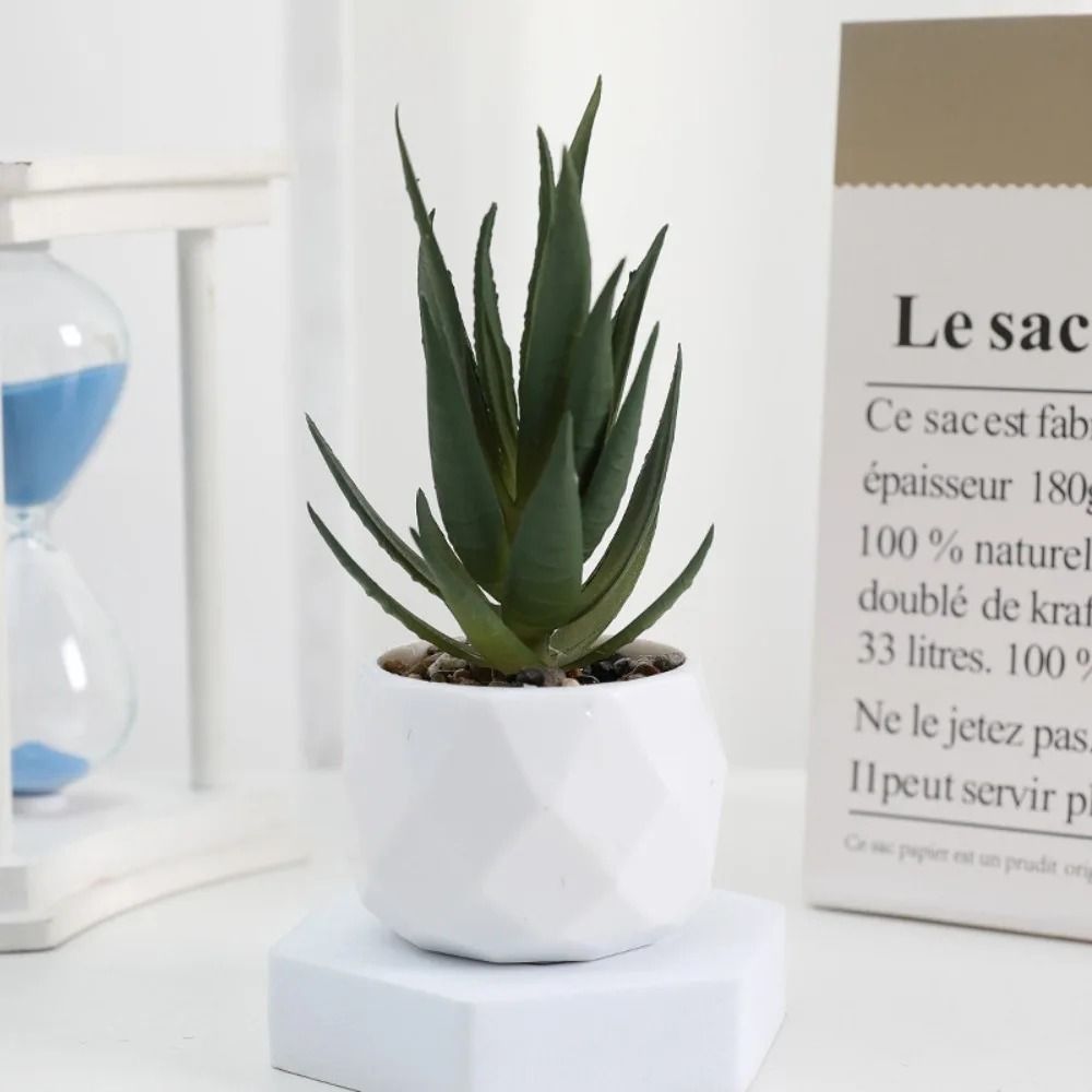 Evergreen Architectural Simulation Succulent Bonsai