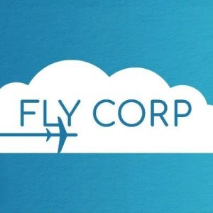 Fly Corp Steam Key