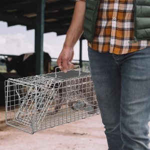 Humane Live Animal Trap Cage for Rabbit, Raccoon & Squirrel Control Durable Easy Release Design