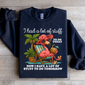 I Had A Lot Of Stuff To Do Today Sweatshirt