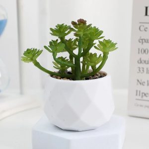 Mini Artificial Succulent Bonsai Plant - Realistic Fake Cactus Decor for Home & Office