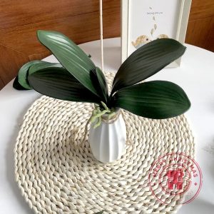Phalaenopsis Orchid Leaf Real-Touch Greenery | Artificial Tropical Foliage for Luxe Vases & Party Decor