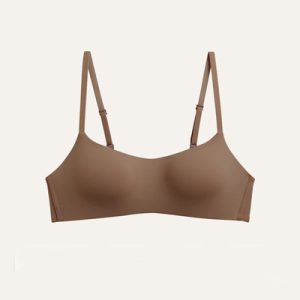 Seamless Bras for Women, Small Chest Cup, Non-Wire Push Up Bra, Female Support Underwear, Sexy Lingerie Intimates