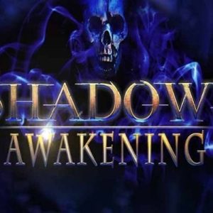 Shadows Awakening Steam Key