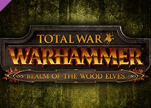Total War: WARHAMMER - Realm of The Wood Elves RU Steam Key