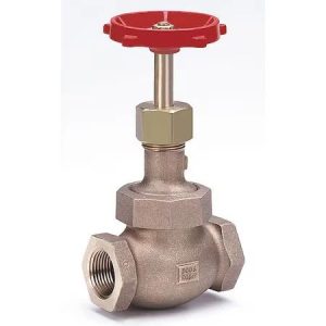 Valve Bronze Globe Valve Class FNPT