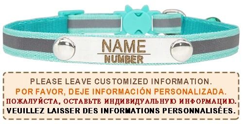 Aura-Reflective Personalized Safety Collar