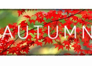 Autumn Steam Key