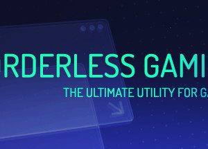 Borderless Gaming Steam Key