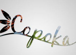 Copoka Steam Key