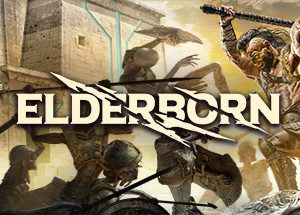 ELDERBORN Steam Key