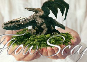 FlowScape Steam Key: Europe & UK