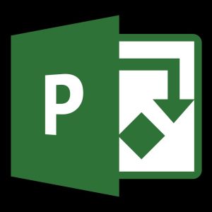 Microsoft Project Standard 2021 Key (Digital Download)