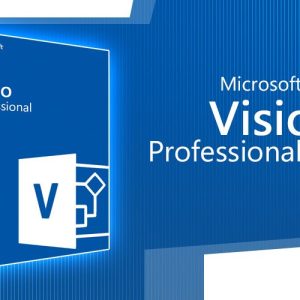 Microsoft Visio Professional 2019 Key (Digital Download)
