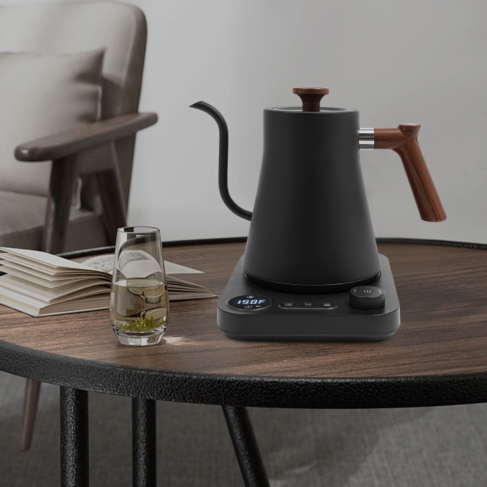 Precision Electric Gooseneck Kettle with LED Temperature Control