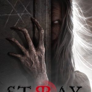 Stray Souls Steam Key