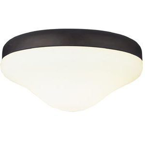 Two Light Fan Light Kit