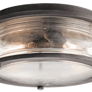Two Light Outdoor Ceiling Mount