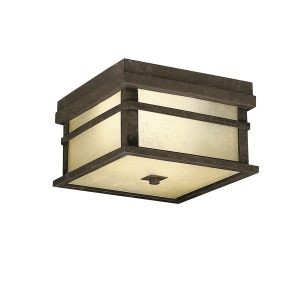 Two Light Outdoor Ceiling Mount