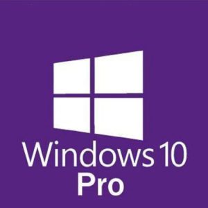 Windows 10 Professional Key (Digital Download)