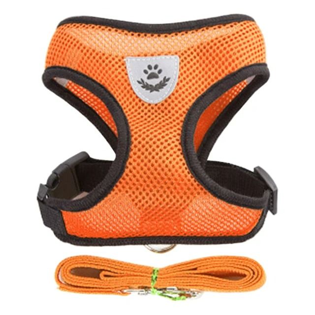 Adjustable Breathable Mesh Cat Harness & Leash Set