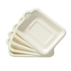 Biodegradable Disposable Paper Plates Thick Compostable Party Plates