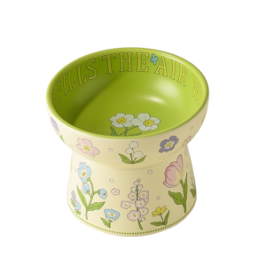 Green Rabbit Ceramic Cat Bowl with Elevated Non Slip Base