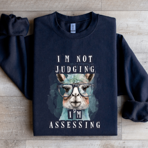 I'm Not Judging i'm Assessing Sweatshirt