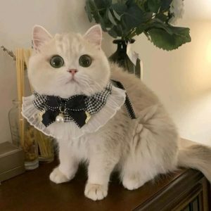 Princess-Style Silk & Lace Wedding Ribbon Collar