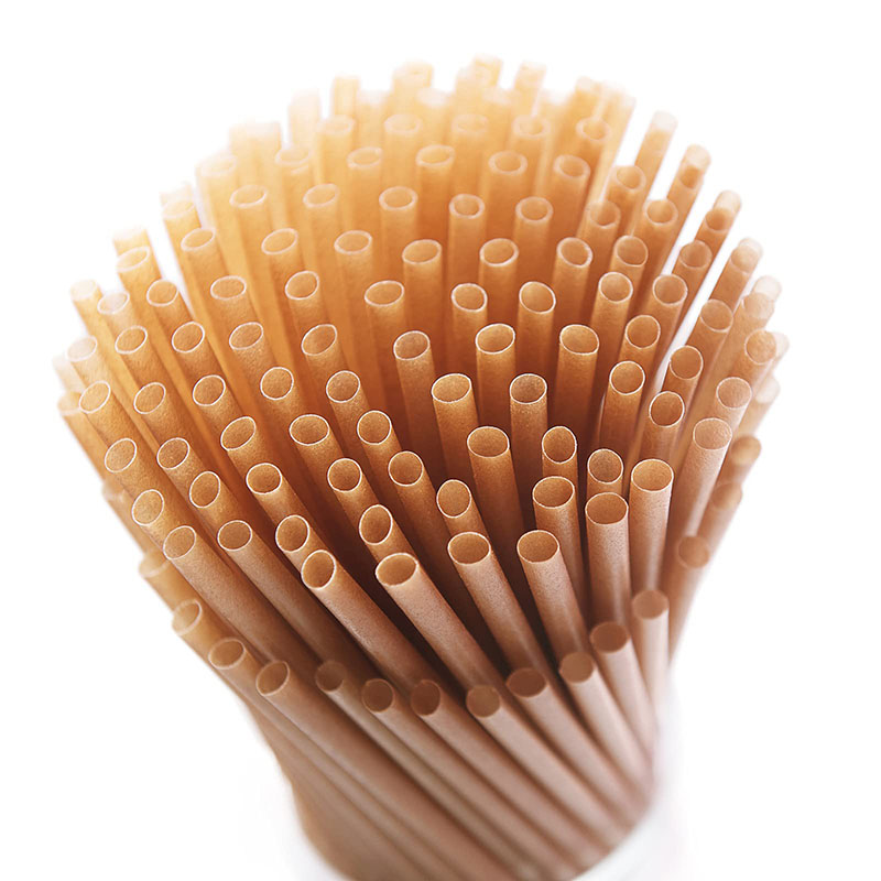 Sugar Cane Compostable Straws Biodegradable Drink Straws