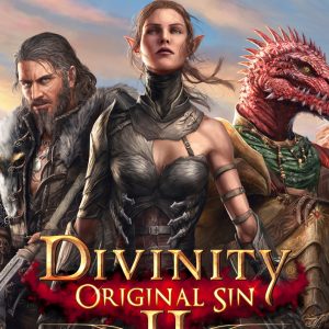 Divinity: Original Sin 2 Steam Account