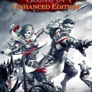 Divinity: Original Sin Enhanced Edition Steam Account