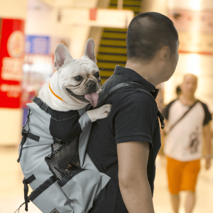 Pet Carrier Backpack